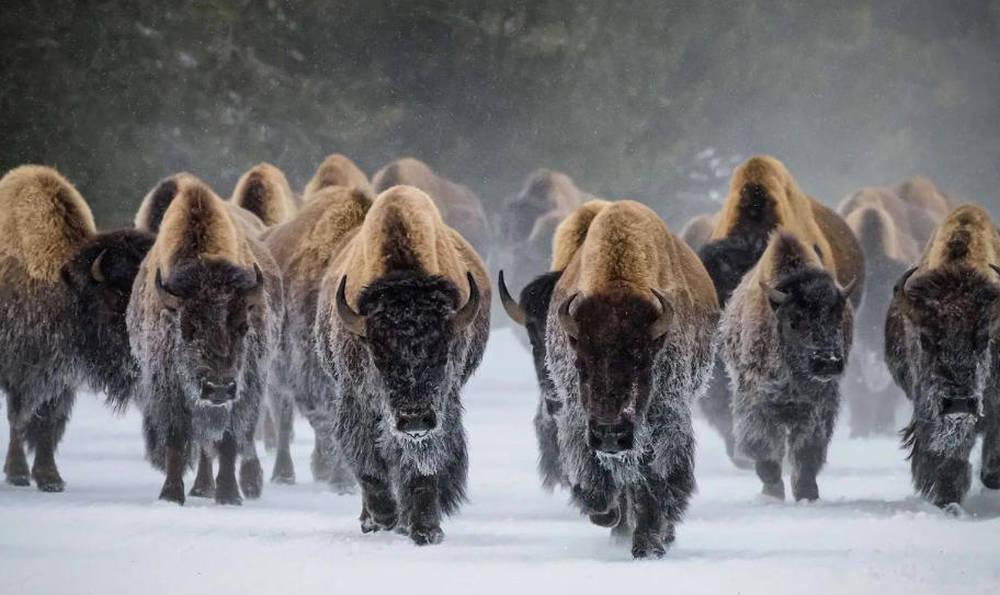 瑞安市帝客卫浴有限公司轮播图4